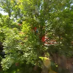 Апартаменти In Beim Lkh Грац